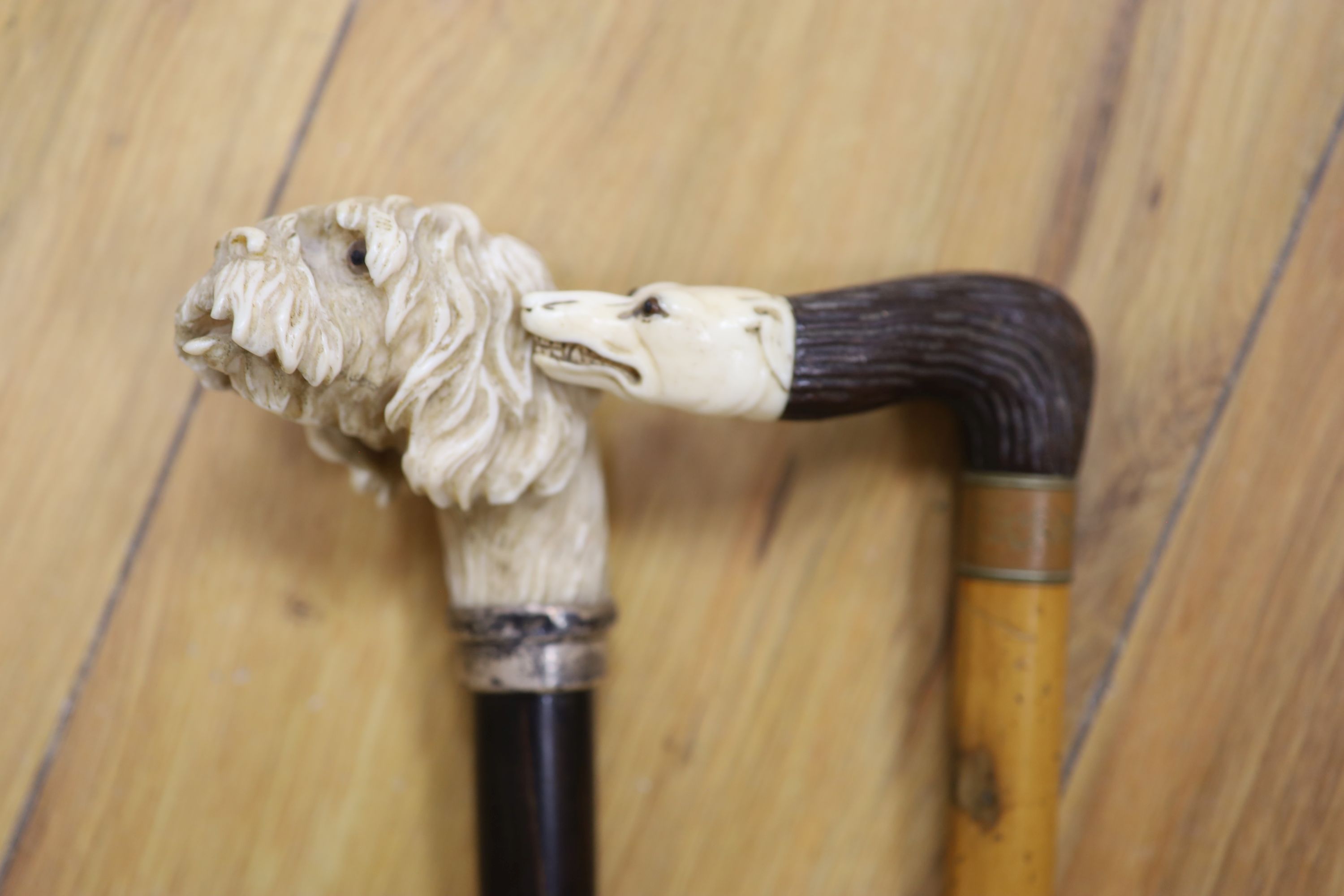 A Victorian carved ivory dogs head cane and another with silver collar